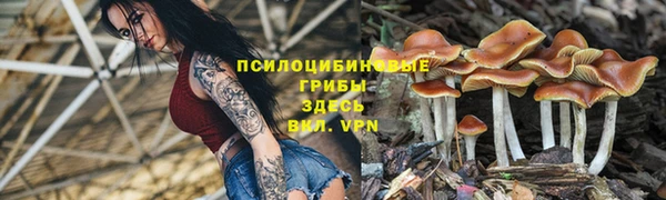 бошки Иннополис