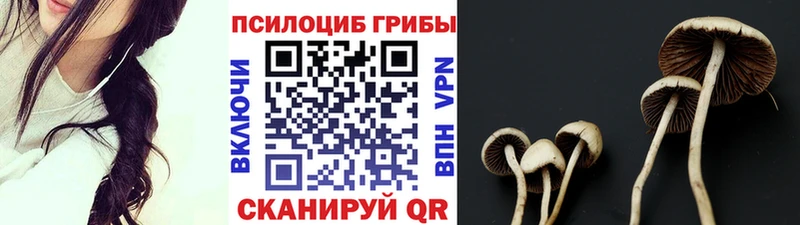 Купить где  Артёмовск  Псилоцибиновые грибы Psilocybine cubensis 
